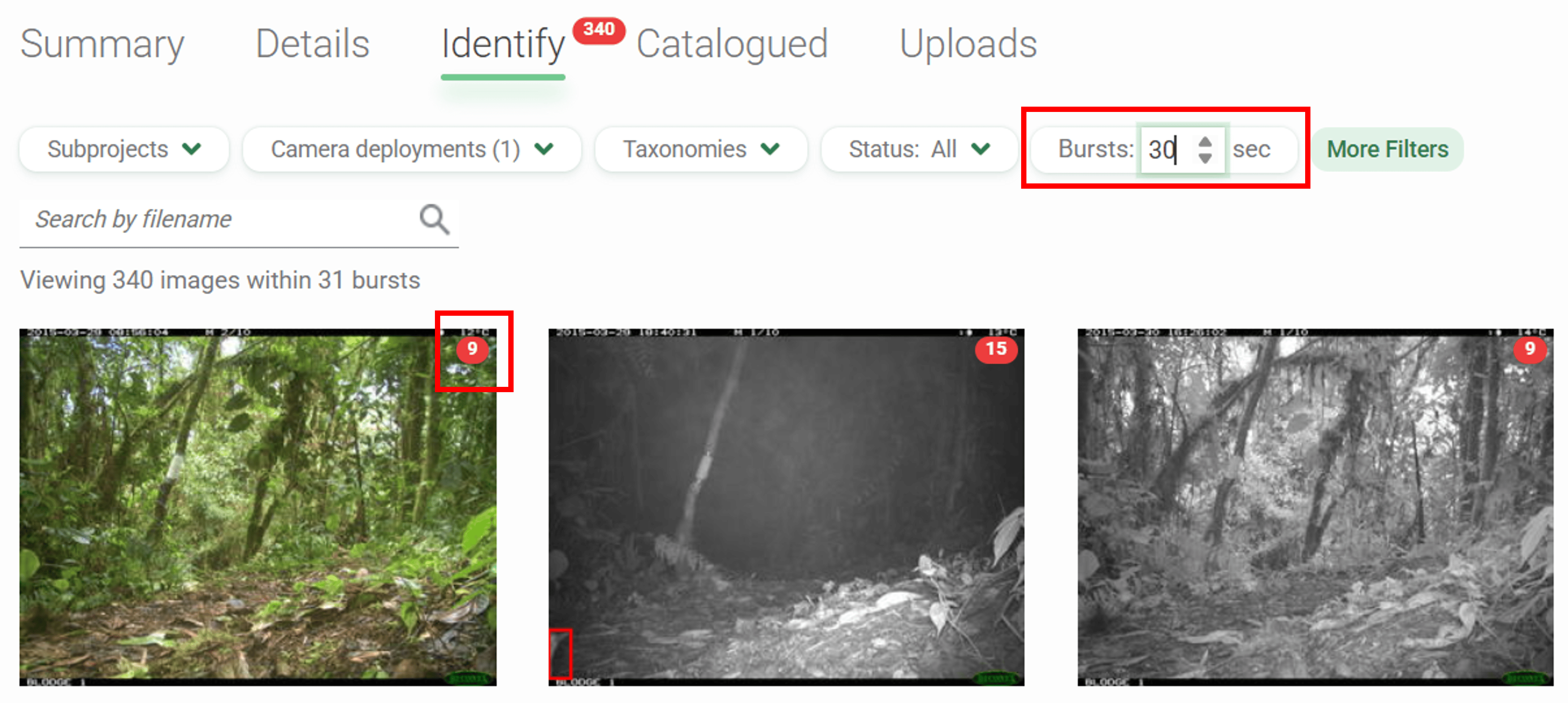 Screenshot of the bursts option in the Identify tab of a Project page