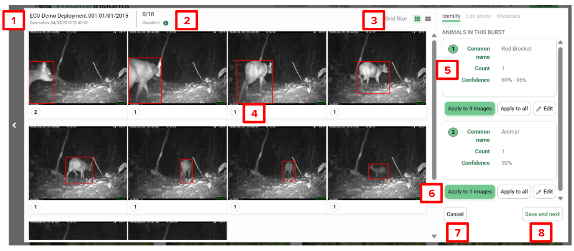 Screenshot of an image burst in thumbnail preview mode