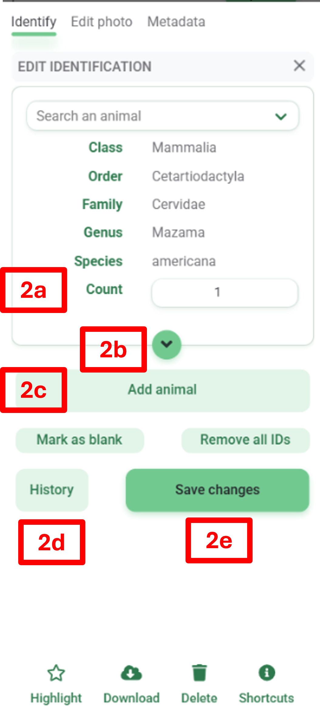 Screenshot of the Identify Image edit options