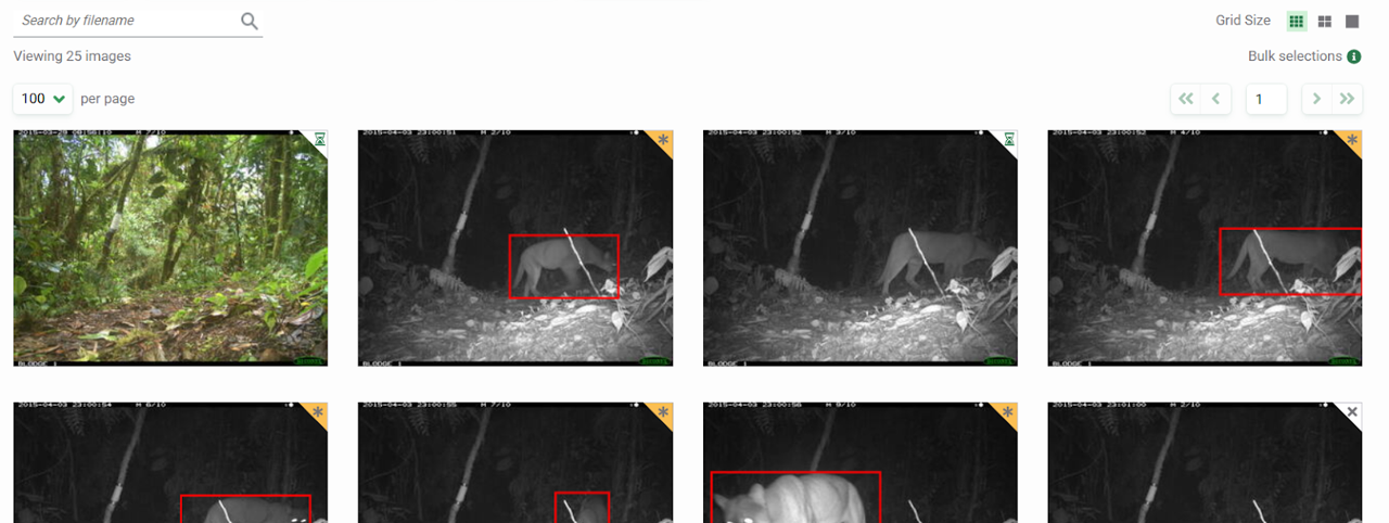 Screenshot of the images uploaded in the Identify tab showing the markers for images reviewed and assigned an object identificat