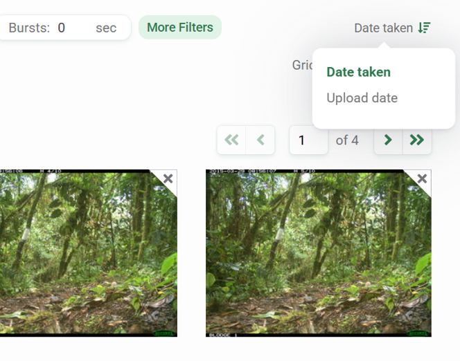 Screenshot of the Identify tab of a Project page showing the filter options