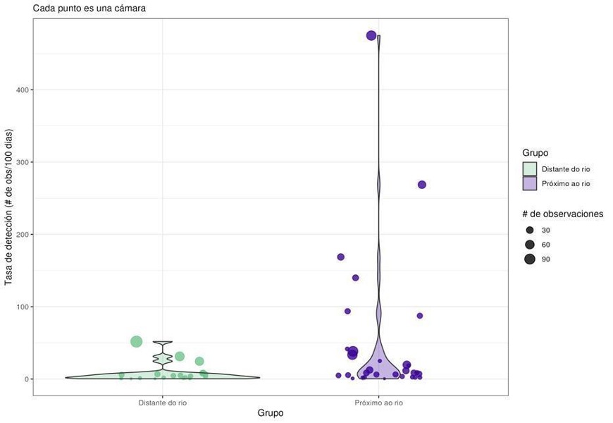 Species detection rates across forest (left) and floodplain habitat (right). Each point represents a camera trap location.