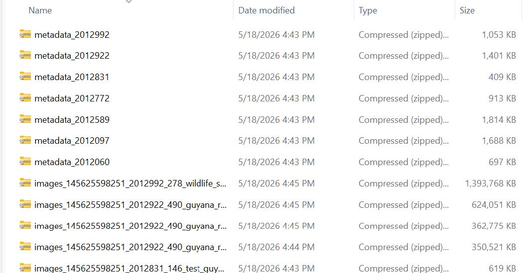 Download zip files